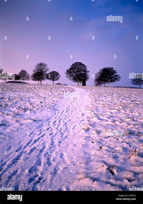 Beverley Westwood East Yorkshire Snowy Hi Res Stock Photography And