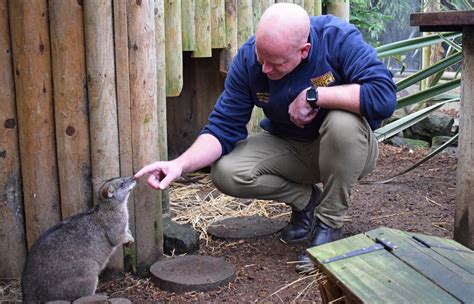 Drusillas Park Donates £1000 to Help Rescue Wildlife from Australian ...