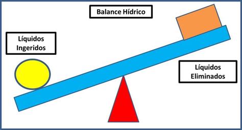 Concepto De Balance Hidrico En Enfermeria Nepora