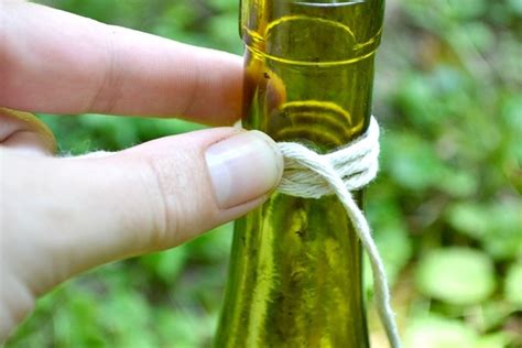 Diy Wine And Beer Bottle Hanging Plant Holder Sheknows