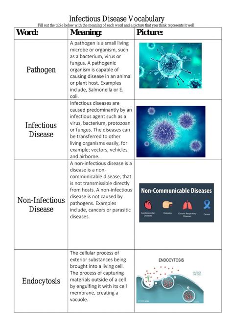 Infectious Disease Vocabulary And Chapter Revision Notes Biology