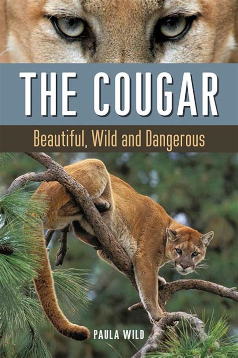 Cougar Safety Checklist • British Columbia Magazine