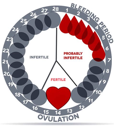 Menstrual Safe Period Chart A Visual Reference Of Charts Chart Master