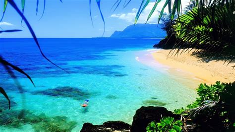 Find your next desktop wallpaper that inspires and excites. Ocean Hawaii Beach Beautiful Hd Wallpaper For Laptop ...