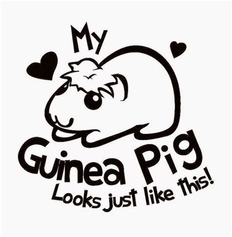 You can download realistic guinea pig coloring page for free at coloringonlycom. Guinea Pig Coloring Pages | Free Coloring Pages - Coloring ...