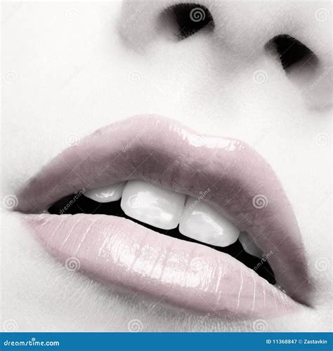 beautiful girl s lips stock image image of sensuality 11368847
