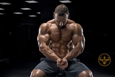 Effective Bulking Cutting Cycles A Complete Guide