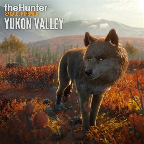 Thehunter Call Of The Wild Yukon Valley Deku Deals