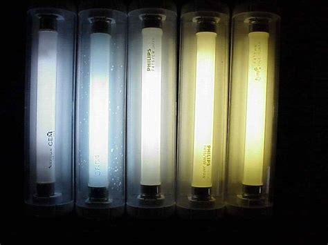 Fluorescent Lights Which Produce Vitamin D On Deluxe