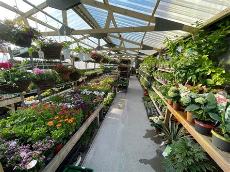 Garden Gems Rye - The weather is looking good ☀️ and we... | Facebook