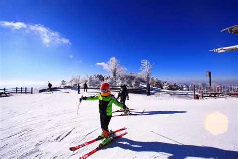 12 Best Winter And Ski Activities To Do In South Korea Koreatraveleasy