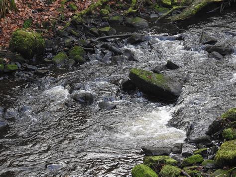 Dscn2411 Rivelin Valley Winter The River Rivelin Rises On Flickr