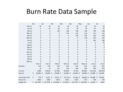 Burn Rate Chart Sample
