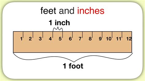 How Tall Is 567 Inches In Feet Update New