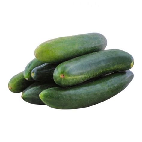Buy Hsm Cucumber 1kg At Best Price In Pakistan Hydri Super Market