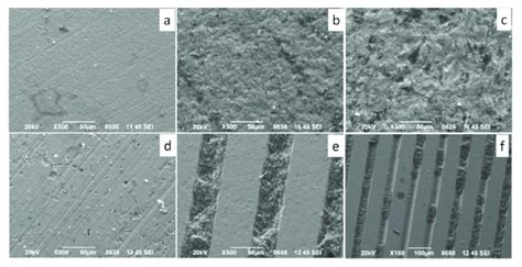 SEM Microphotographs Of Fractured Surfaces A Control CL Group B