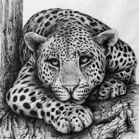 Leopard By Rens Ink In 2019 Ink Pen Drawings Animal Drawings Animal