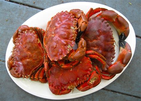 Try to prepare your rock crab recipe with eat smarter! Shellfish Recipes