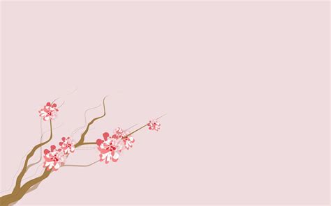 Download Asian Cherry Blossom Flower Wallpaper By Tammyw Cherry Blossoms Wallpaper