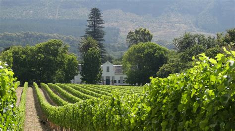 Wine Farm Buitenverwachting South Afrika Constantia Farmland