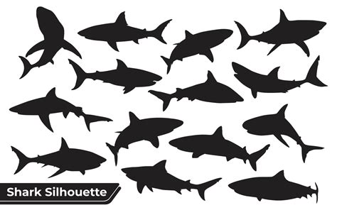 Collection Of Animal Shark Silhouette In Different Poses 4813714 Vector