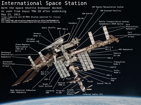 Explainer The International Space Station Sbs News