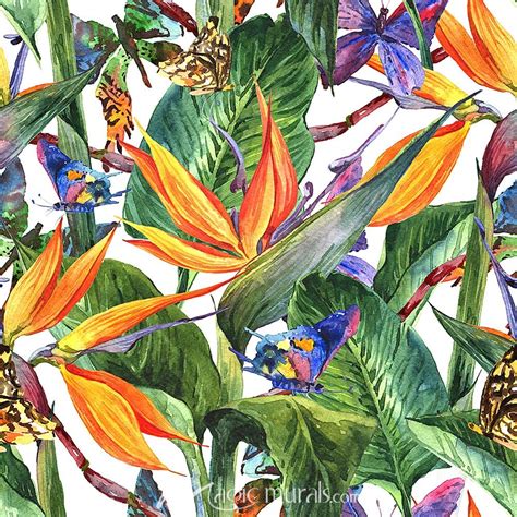 Bird Of Paradise Pattern Wallpaper Mural By Magic Murals