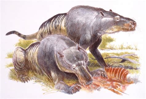 Andrewsarchus— the World's Largest Predatory Mammal