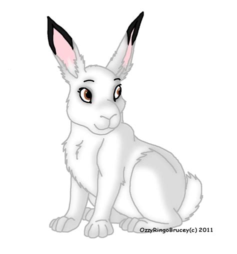 Free Snowshoe Hare Cliparts Download Free Snowshoe Hare Cliparts Png
