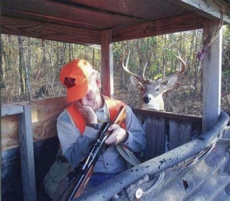 20 Weird Animal Photos To Make You Look Twice Funny Hunting Pics Deer