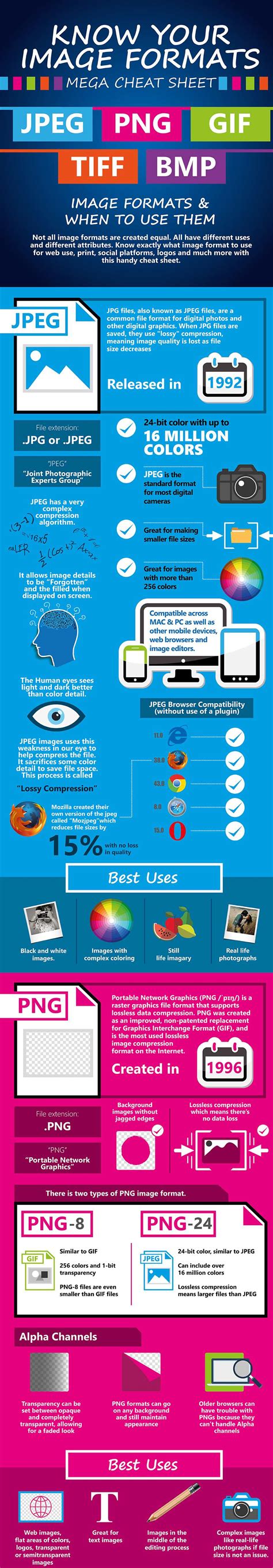 Image Formats  Different Infographics Teaching Resources Your