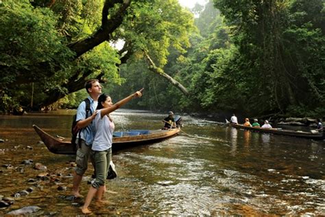 Malaysia Adventure Taman Negara Package 179335holiday Packages To