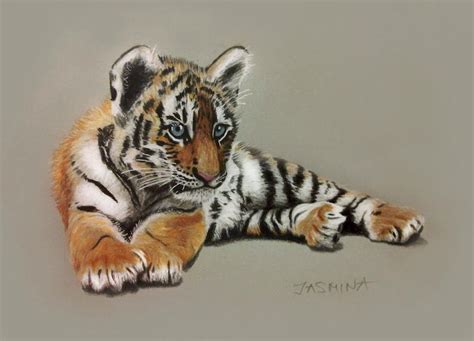 Tiger Cub Colored Pencils Drawing By Jasminasusak On Deviantart