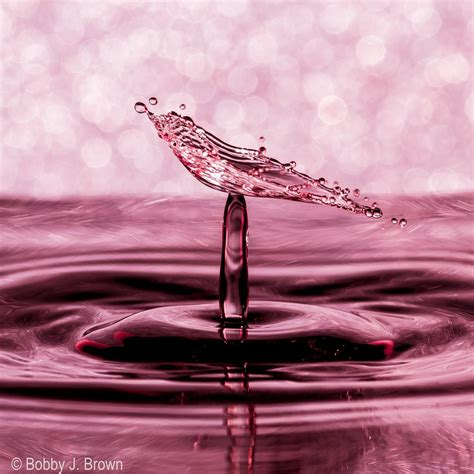 Macro Water Drops Photo Contest Winners