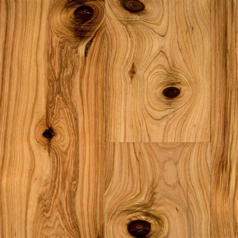 Bellawood Engineered 12 X 5 Natural Australian Cypress Solid Hardwood Floors Hardwood