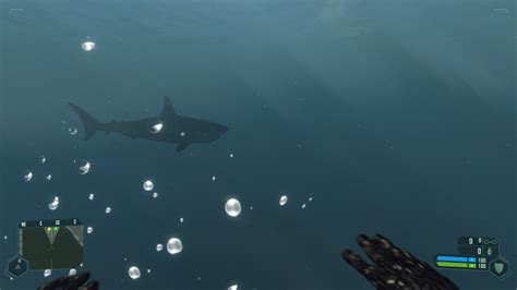 Ever Met The Great White Shark Image Crysis Maximum Immersion