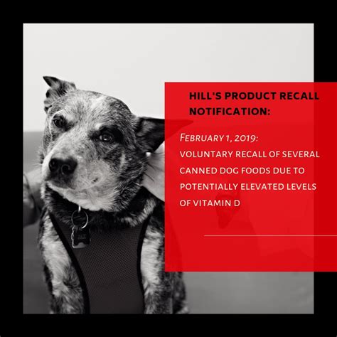 The recall was first issued on january 31, … hill's pet nutrition recalls canned dog. Hill's Pet Food Recall February 1, 2019 - Renforth ...