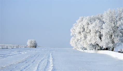 winter wonderland canada - Yahoo Image Search Results | Winter wonderland, Winter, Wonderland