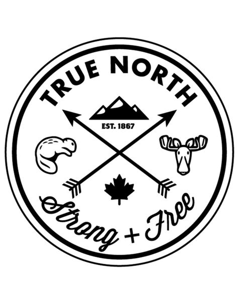 True North T Shirt Vancouvers Best Baby And Kids Store Unique Ts