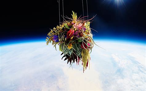 Japanese Flower Artist Sends Plants Into Space For Breathtaking Photo