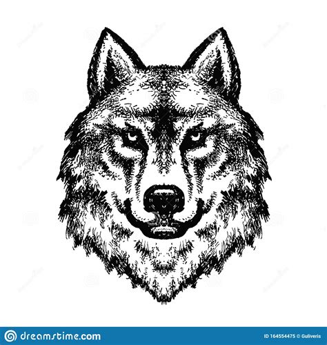Maybe you would like to learn more about one of these? Wolf Head Logo 28, Detailed Ink Drawing Stock Vector ...