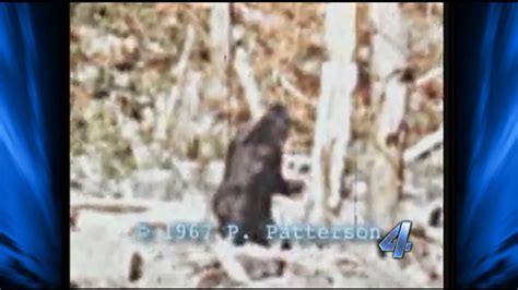Oklahoma Lawmaker Files Bill For Bigfoot Hunting Season News 4 Buffalo