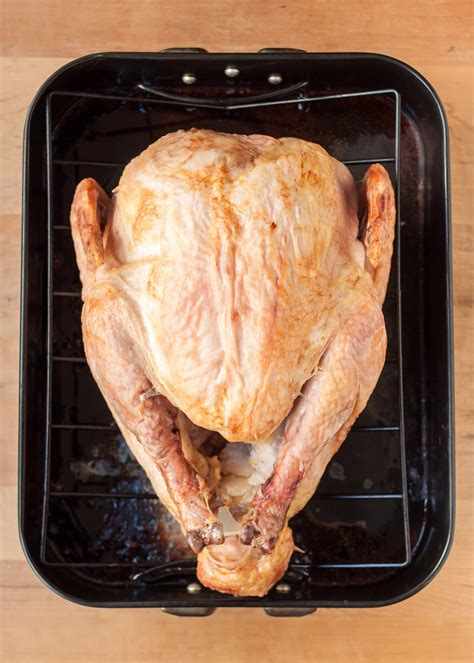 How To Cook a Completely Frozen Turkey for Thanksgiving | Kitchn