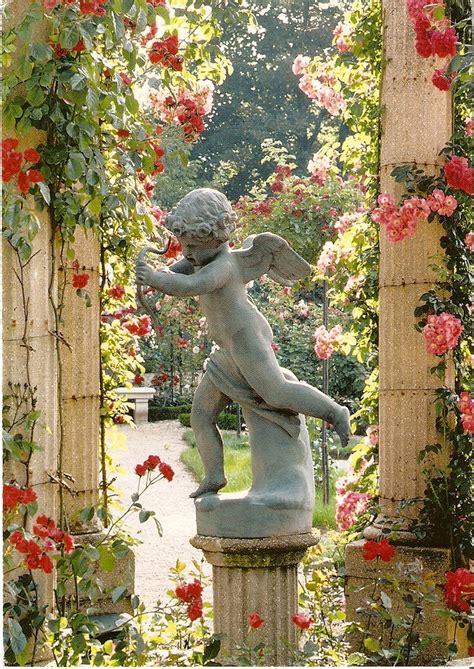 Cupid In Rose Garden Angel Rr Thank You Clau Talas