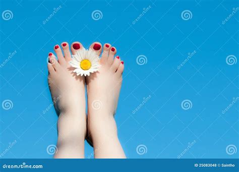 Women Feet And Flower Stock Photo Image Of Blue Rest 25083048