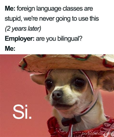 The best spanish memes found across the internet and on social media. 30 Funniest Memes About Spanish Language For People That ...