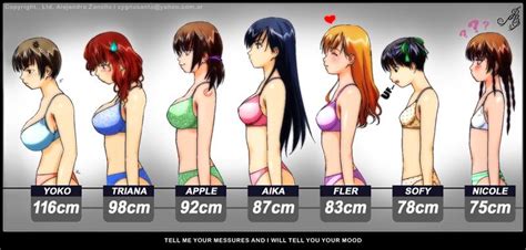 Anime Breast Chart Boobs Types Gag Exchrisnge