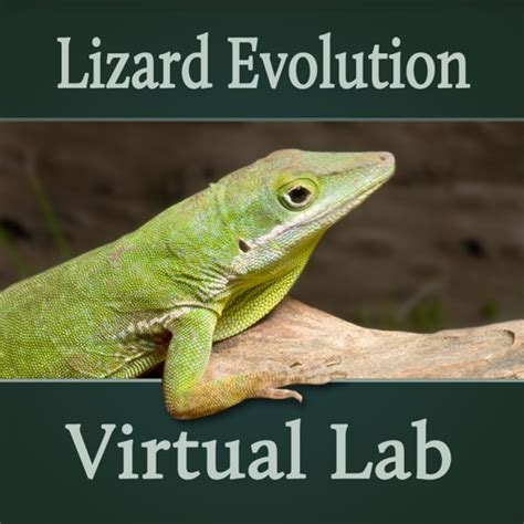 Lizard Evolution Virtual Lab Apps 148apps