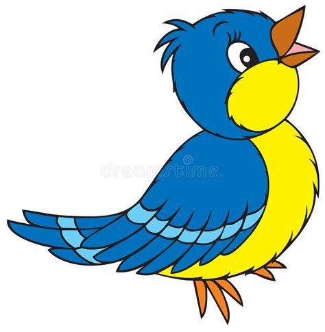 Blue Bird Stock Vector Illustration Of Natural Sitting 13138578