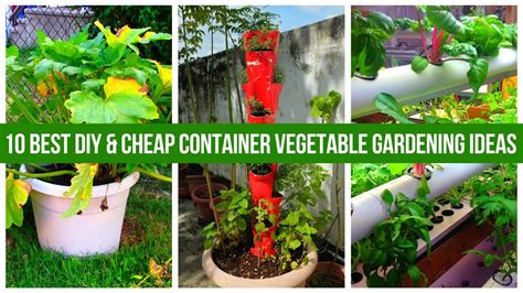 10 Best Diy And Cheap Container Vegetable Gardening Ideas Anyone Can Use